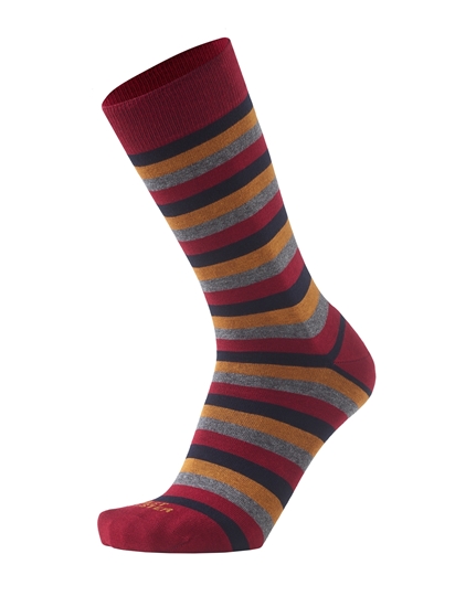 Picture of Stripes Bordeaux