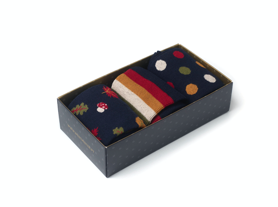 Picture of Gift Box Autumn Blue