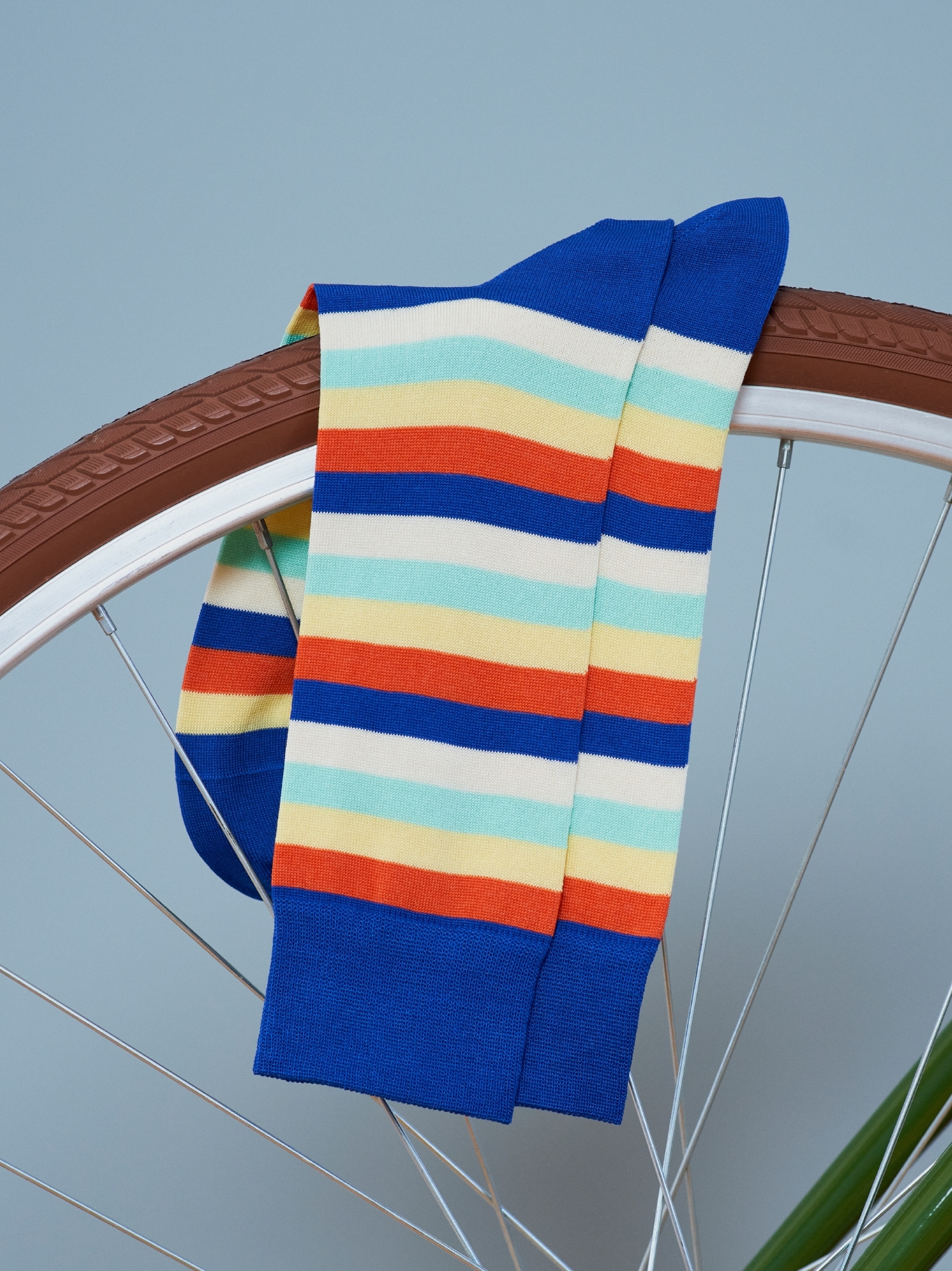 Picture of STRIPES ROYAL