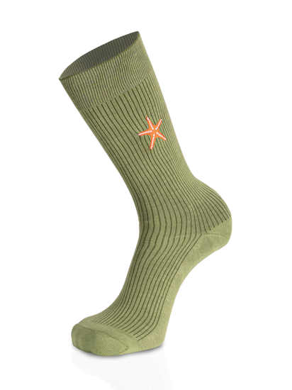 Picture of STARFISH GREEN