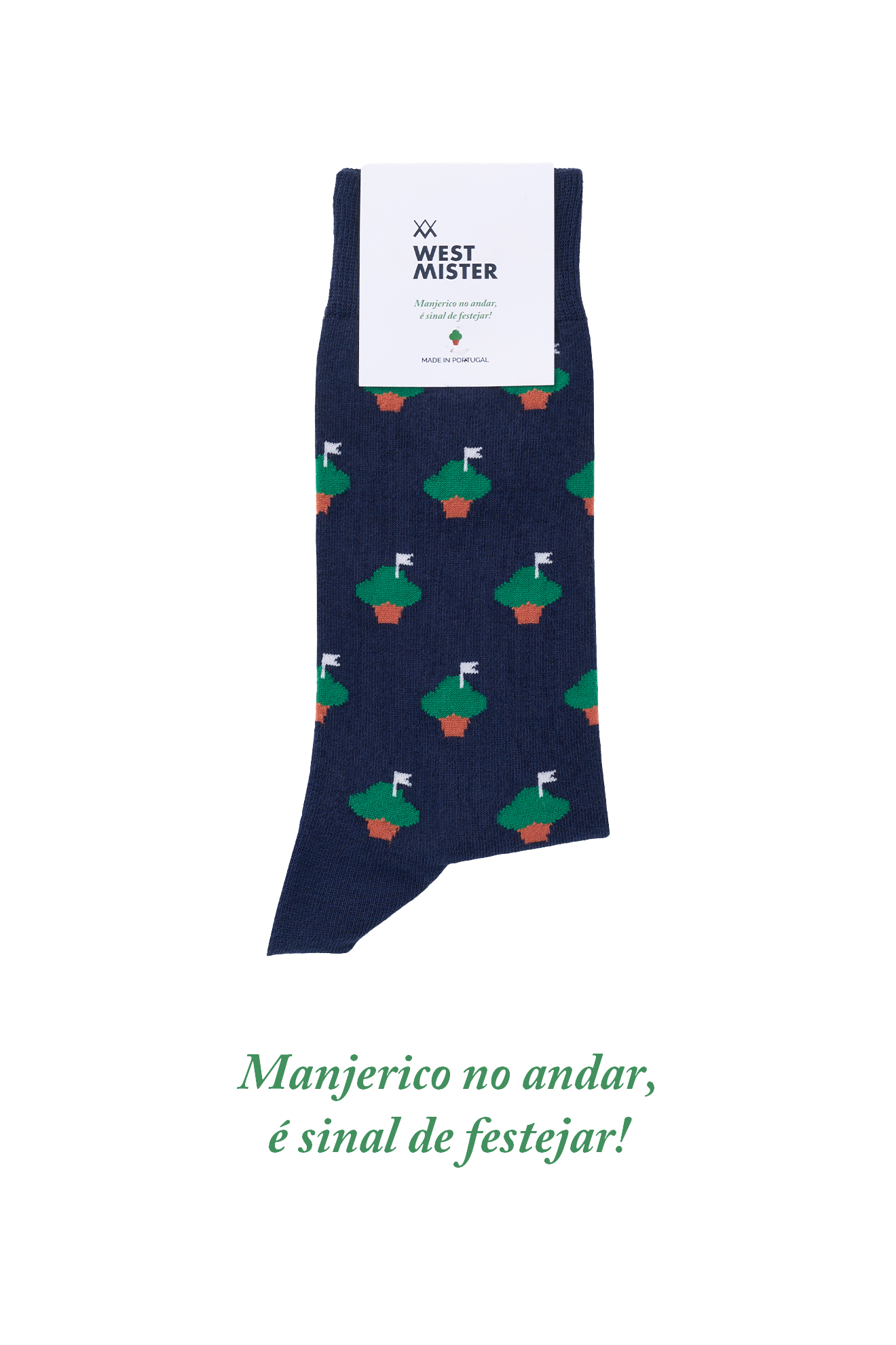 Picture of MANJERICO