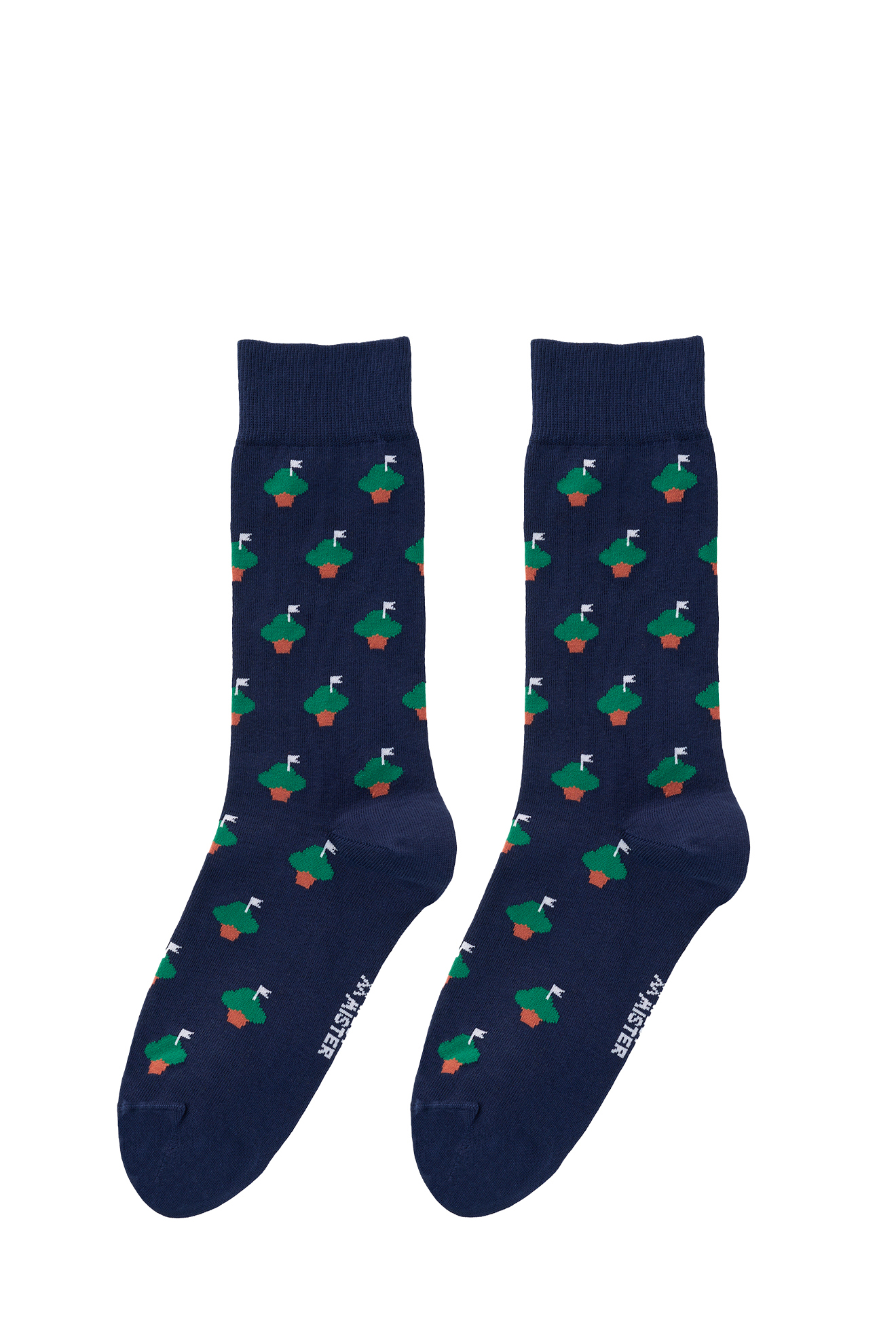 Picture of MANJERICO