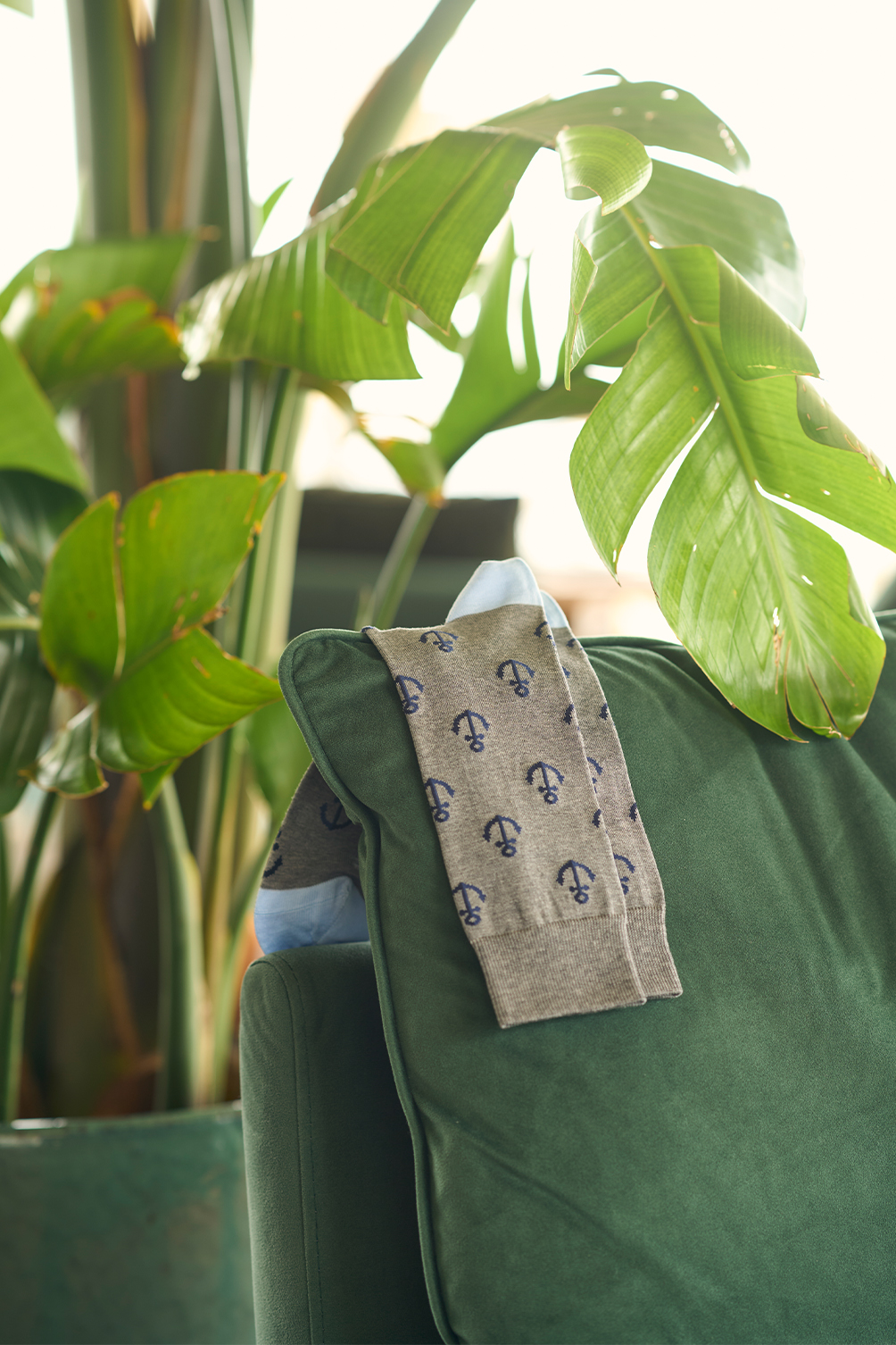 Picture of ANCHORS GREY MELANGE