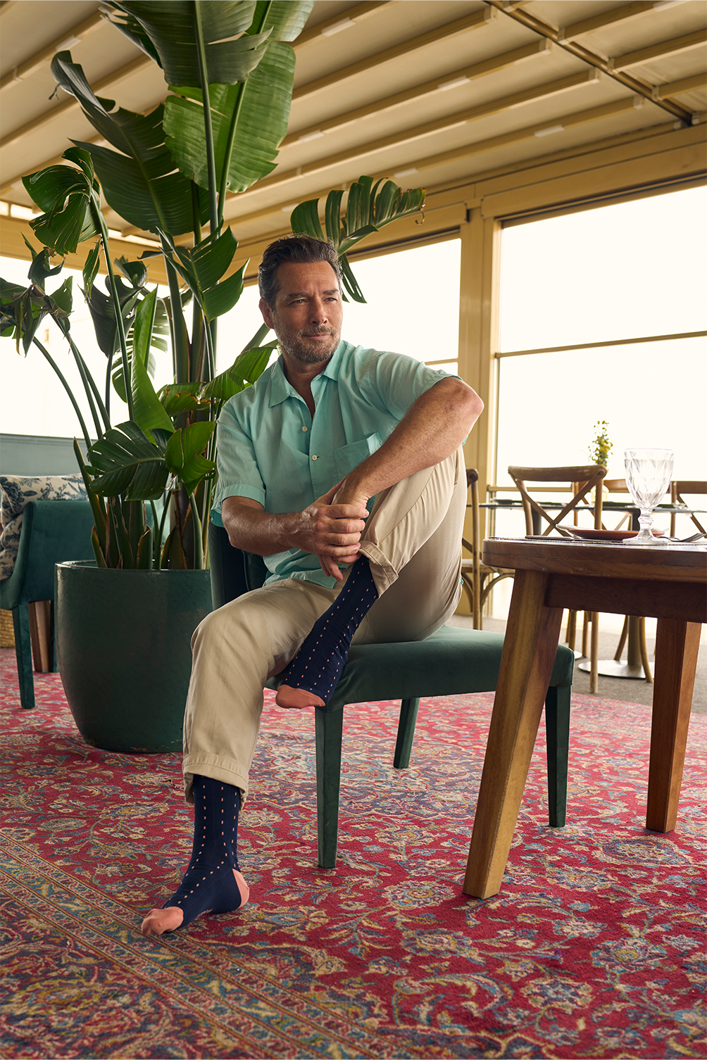 Picture of DASHED MARINE