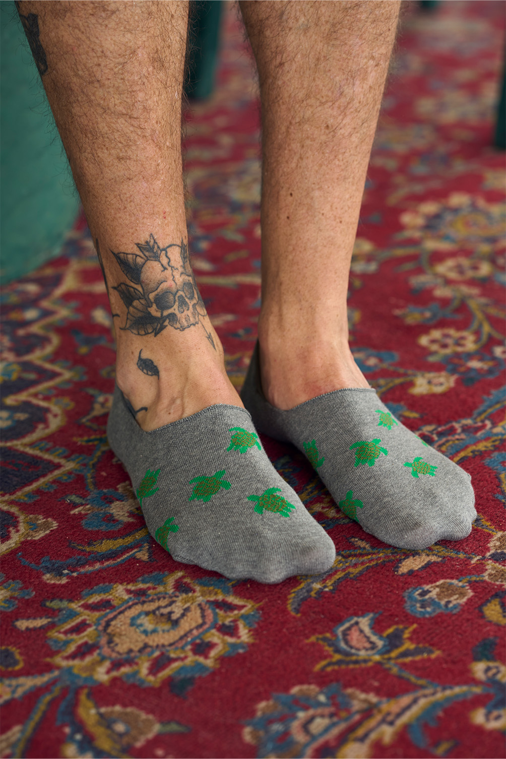 Picture of TURTLES GREY 