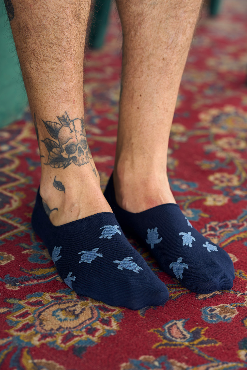 Picture of TURTLES MARINE + PLAIN MARINE - PACK 2