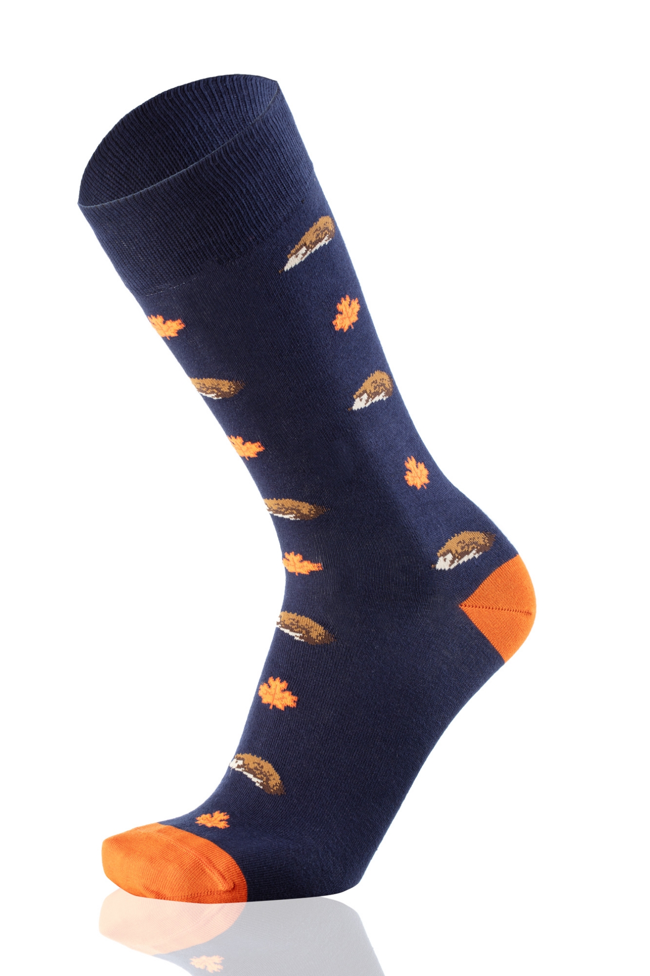 Picture of HEDGEHOG MARINE