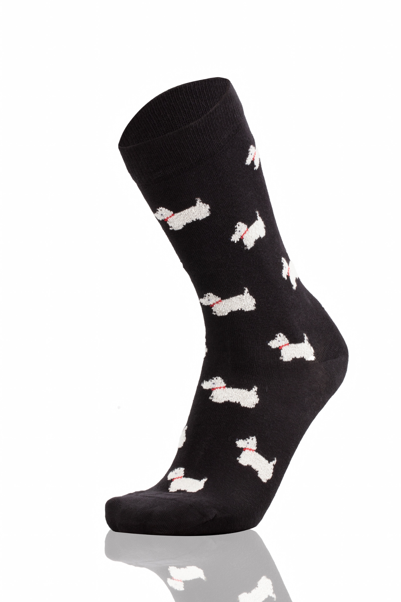 Picture of CLEO BLACK