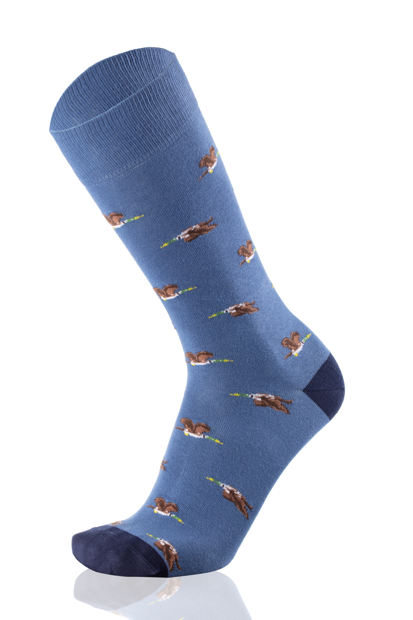 Picture of WILD DUCK BLUE