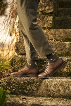 Picture for category Highlands Collection