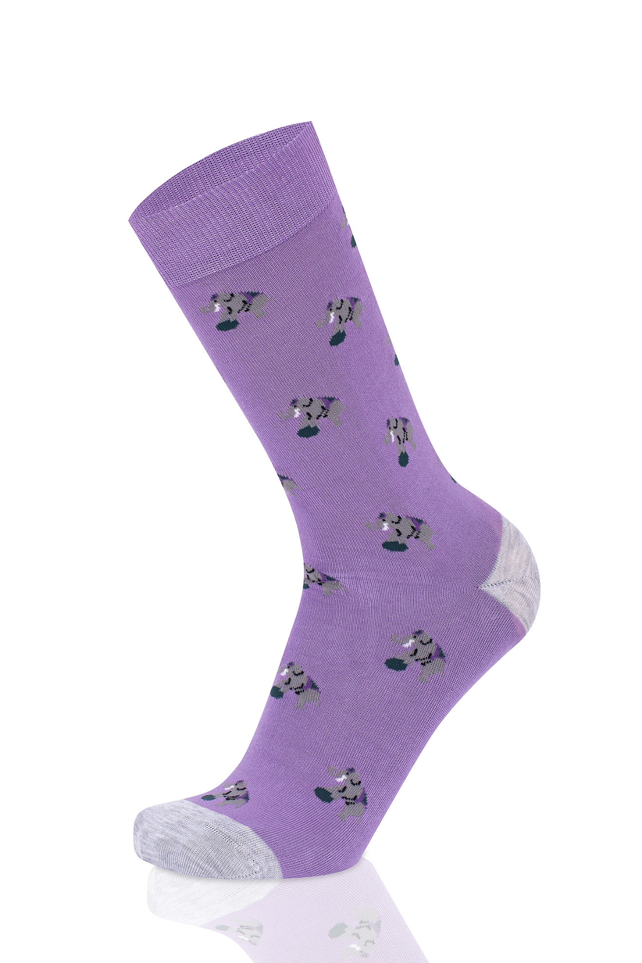 Picture of ELEPHANT LILAC