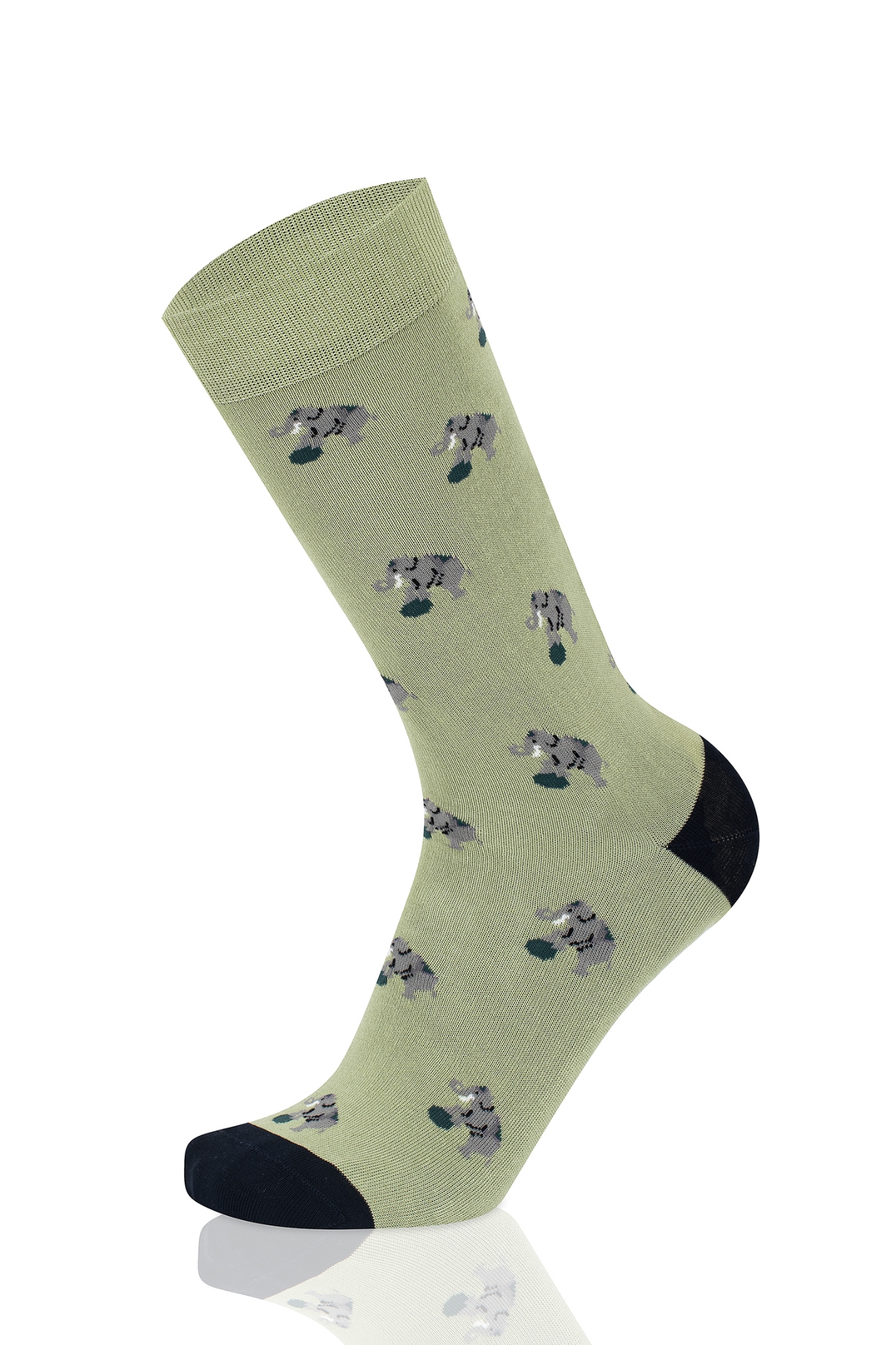 Picture of ELEPHANT SAGE GREEN