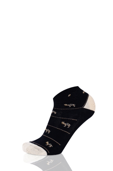 Picture of ANKLE CAMEL MARINE